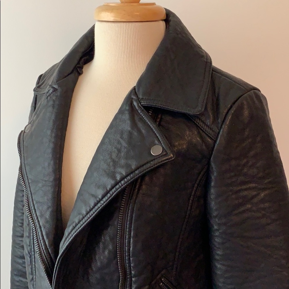 Moto Jacket - Picture 3 of 5
